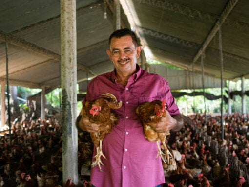 Crédito Agropecuario